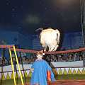 090508_GS_Zirkus_097