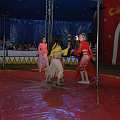 090508_GS_Zirkus_220